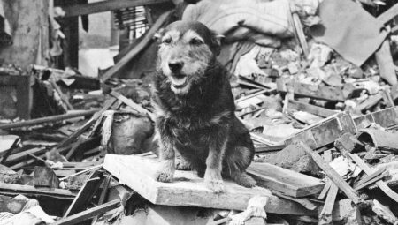 Celebrated Wartime Allies: Remarkable Animals Who Served and Suffered for Valor