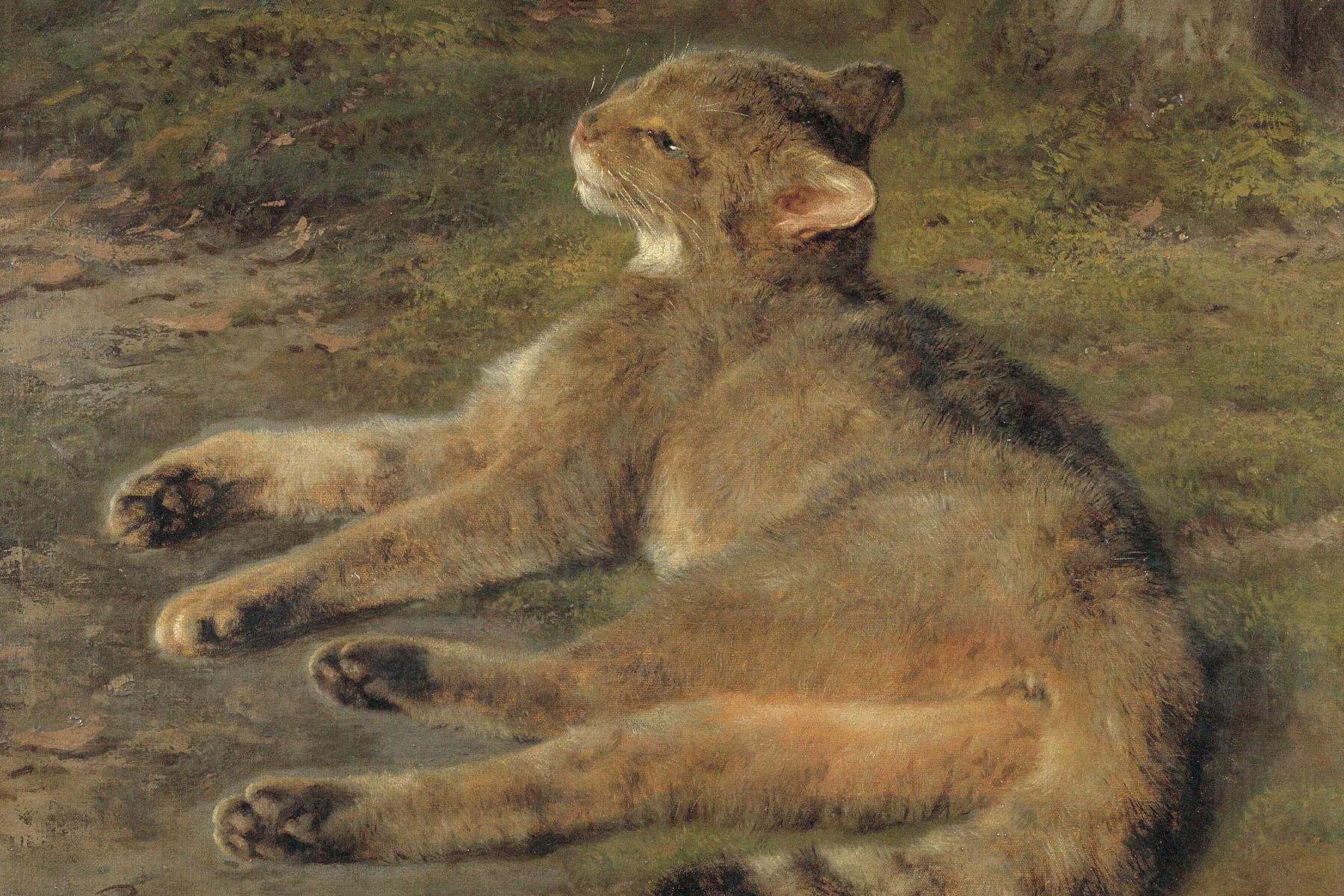 The Origins and Modern Realities of Domestic Cats: A Timeless Bond