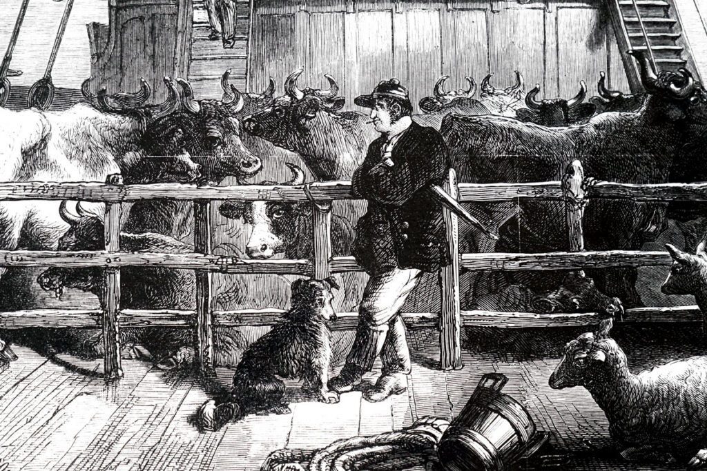 Voyages at Sea and Land: A Reimagined Look at Sustenance During the Age of Exploration