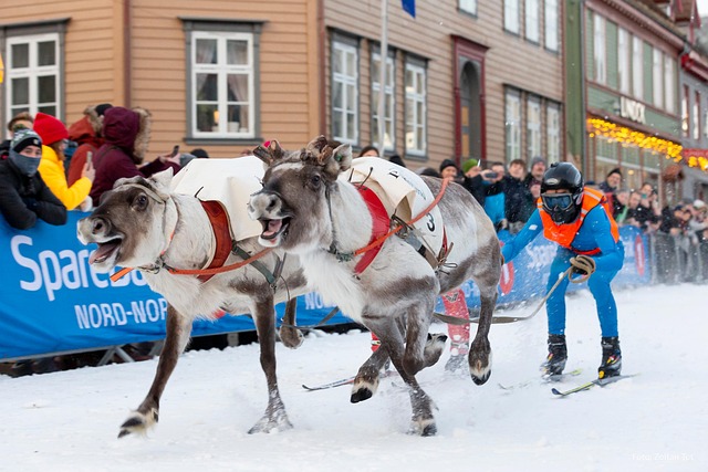 What Are the Most Important Sami Holidays and Events?