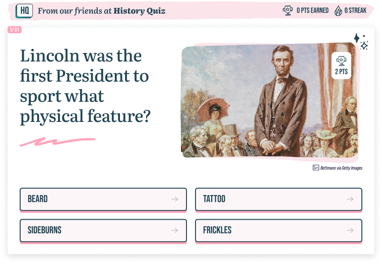 Tabby the Cat and Dining Room Etiquette