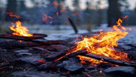 Traditional Sami Fire-Making: Ancient Arctic Survival Skills