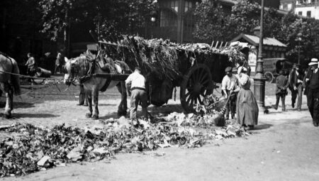 Ancient Wasteways: How Old Civilizations Managed Their Garbage