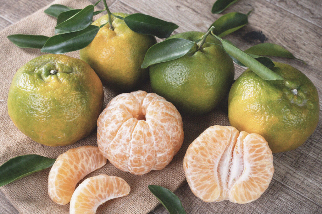 Chromatic Histories of Everyday Foods