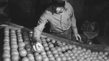 Chromatic Histories of Everyday Foods