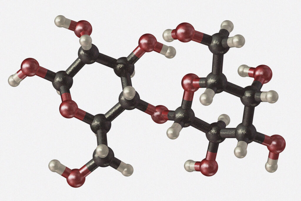 Milking the Past: Tracing How Humans Embraced Dairy Across Millennia