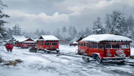Historical Evolution of Indigenous Arctic Travel