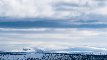 Arctic Survival Foods Used by Sami People