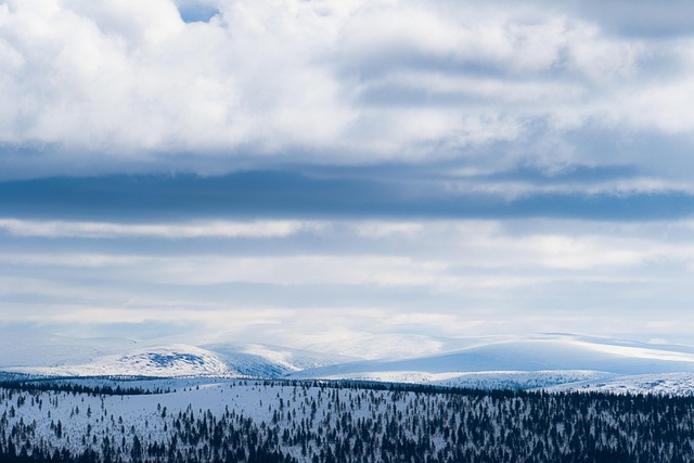 Arctic Survival Foods Used by Sami People Arctic Survival Foods Used by Sami People