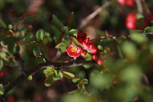 Importance of Water in Sami Traditions