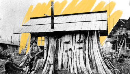 In the 1800s, some Americans lived inside massive tree stumps.