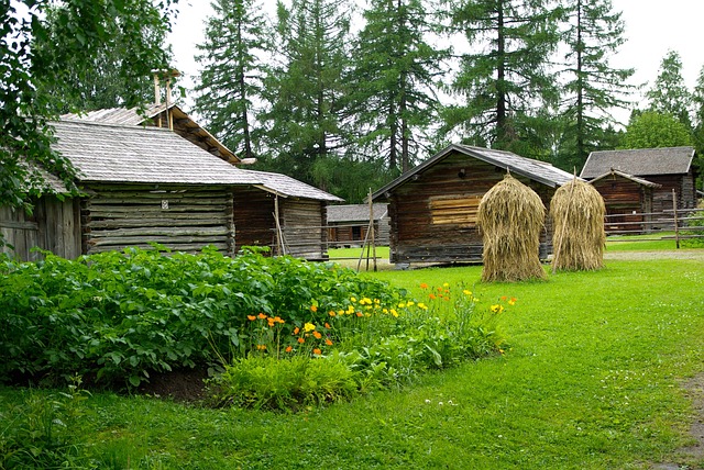 Most Searched Questions About Sami People
