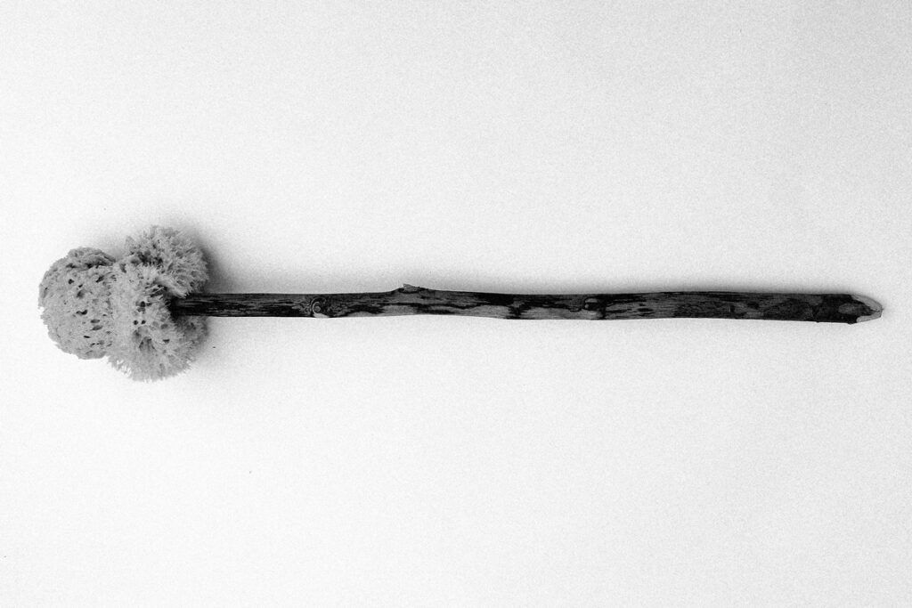Roman Hygiene Artifacts: The Tersorium and Competing Theories