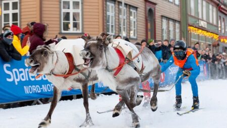 Sacred Animals of the Sami People