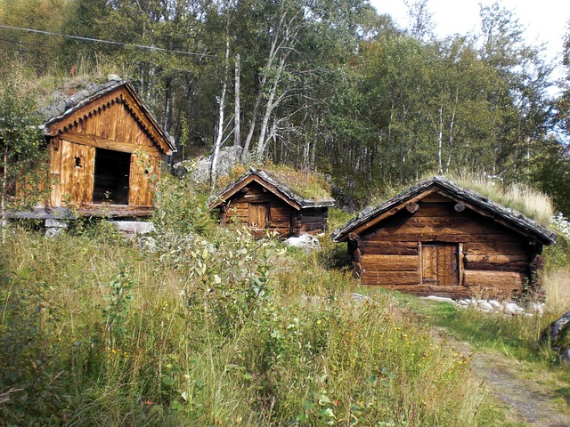Sami Cuisine Based on Reindeer Meat Sami Cuisine Based on Reindeer Meat