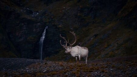 Sami Cultural Tourism Best Practices