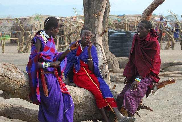 Sami Culture in the Digital Age Sami Culture in the Digital Age