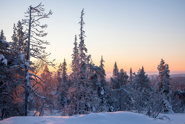 Seasonal Reindeer Herding Practices Explained Seasonal Reindeer Herding Practices Explained