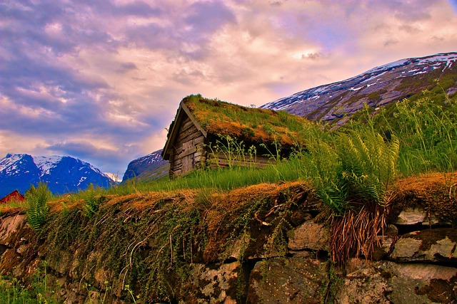 Top Sami Culture Questions Answered Top Sami Culture Questions Answered