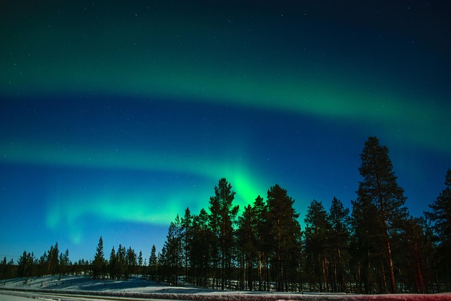 Traditional Sami Conservation Practices